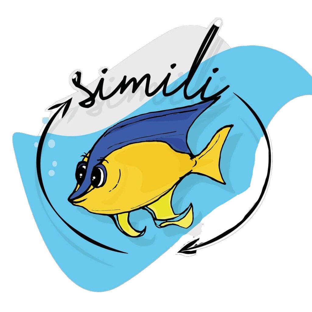 viajes responsables proyecto simili