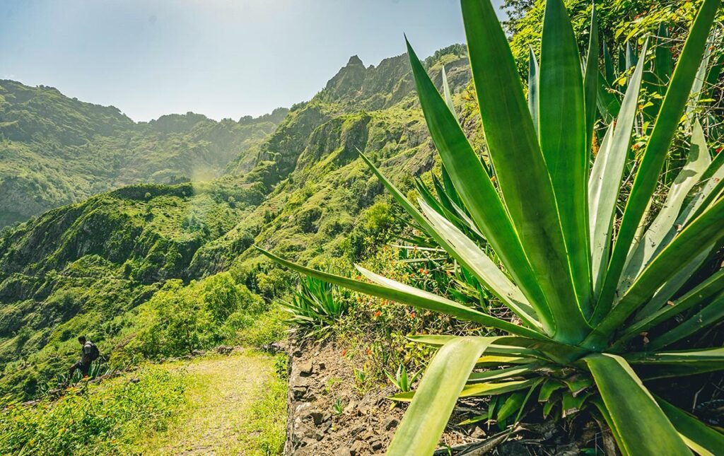 senderismo cabo verde grupo islas de barlovento